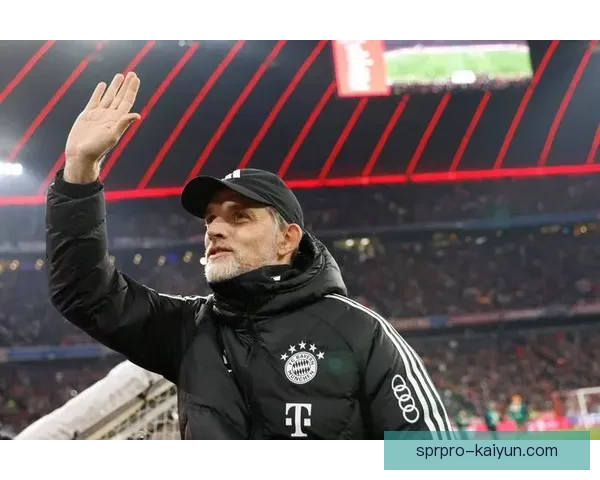 德甲主力大换血，球队竞争力增强值得关注